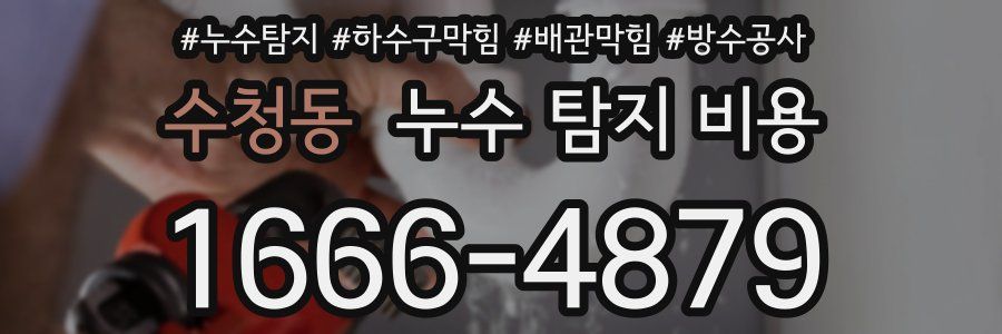 수청동 누수 탐지 비용