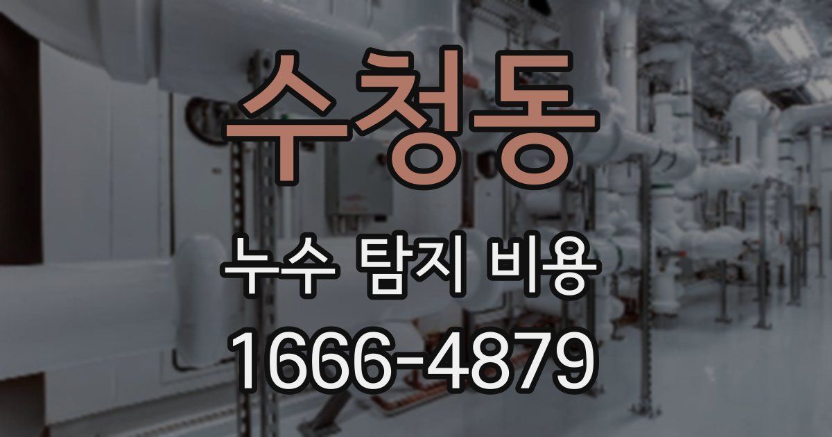 수청동 누수 탐지 비용