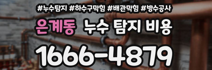 은계동 누수 탐지 비용
