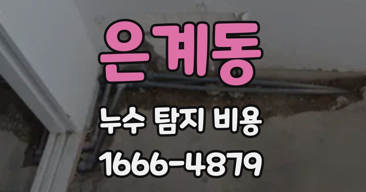 은계동 누수 탐지 비용