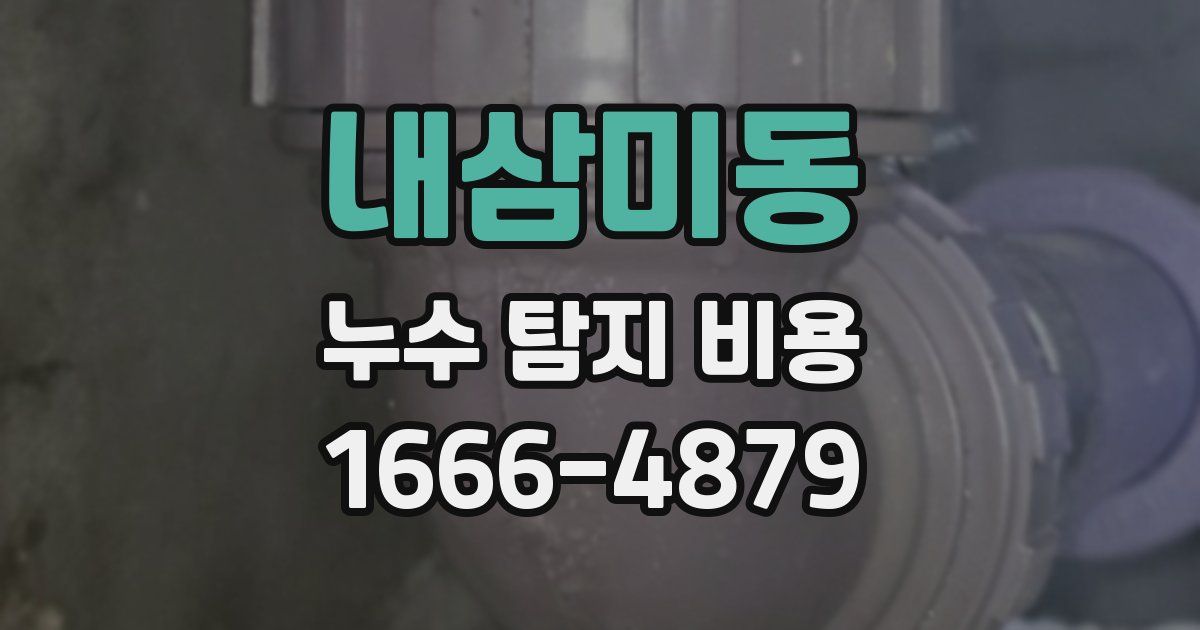 내삼미동 누수 탐지 비용