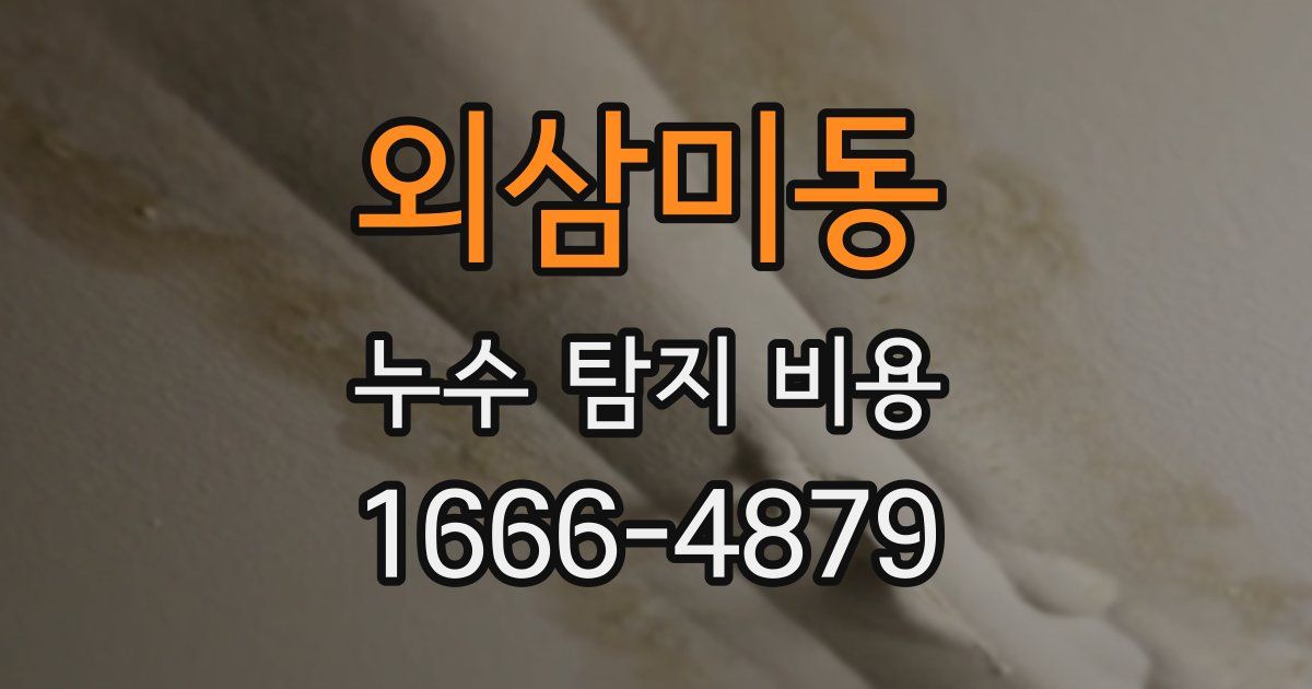 외삼미동 누수 탐지 비용