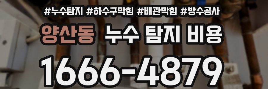 양산동 누수 탐지 비용