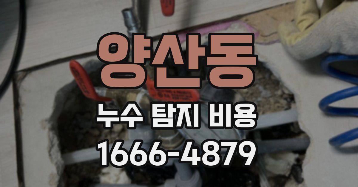 양산동 누수 탐지 비용