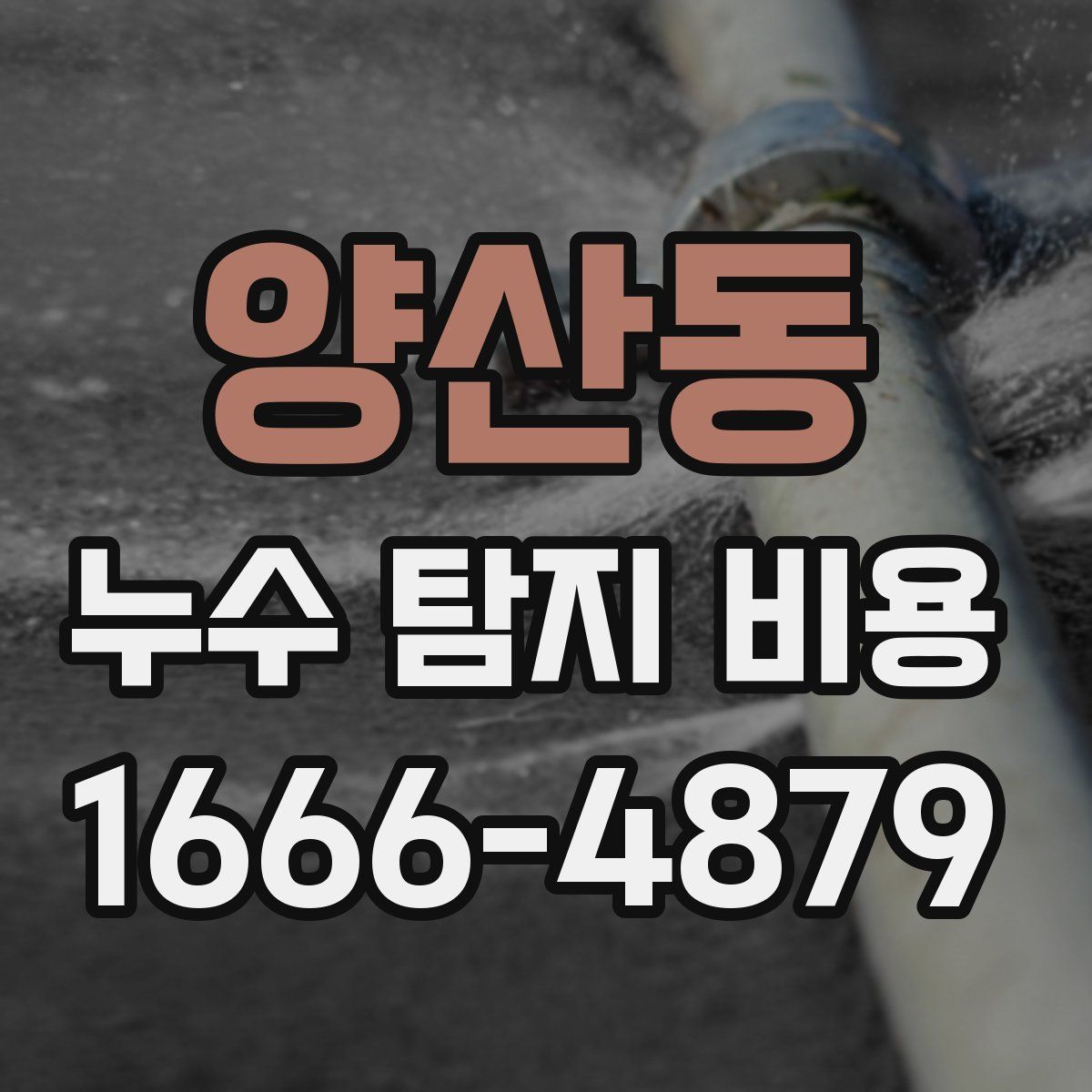양산동 누수 탐지 비용