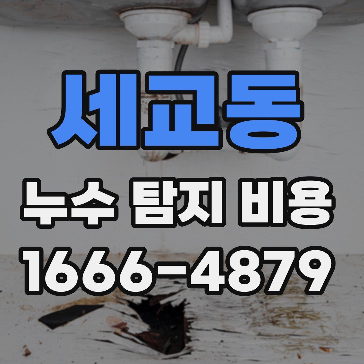 세교동 누수 탐지 비용
