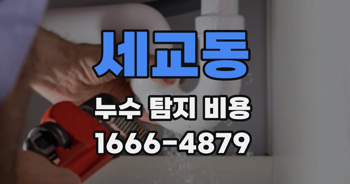 세교동 누수 탐지 비용