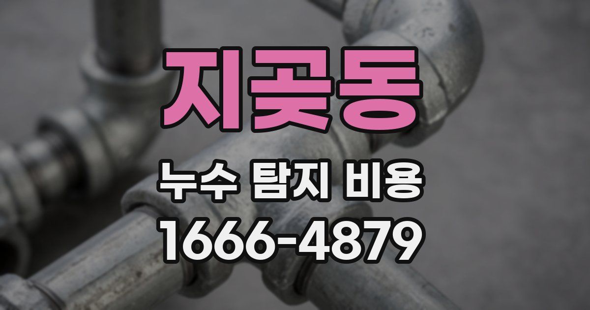 지곶동 누수 탐지 비용
