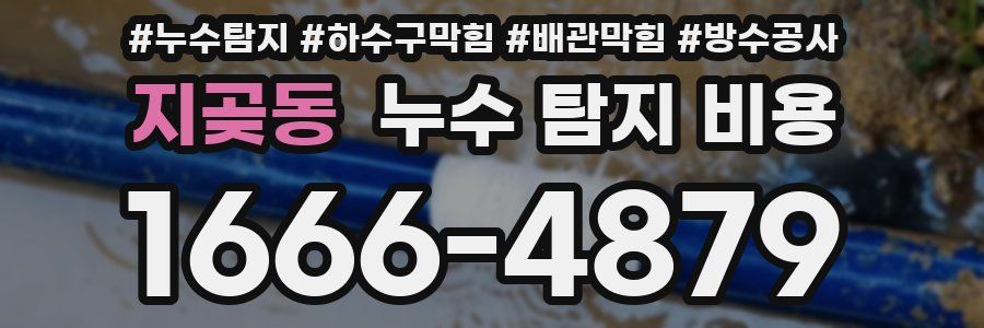 지곶동 누수 탐지 비용