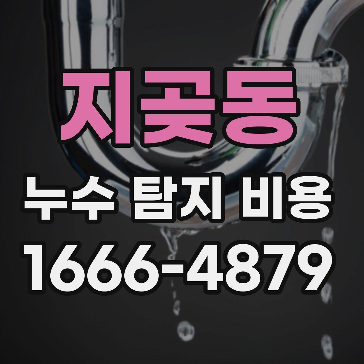 지곶동 누수 탐지 비용