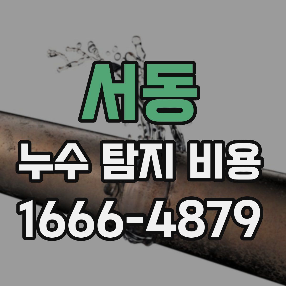 서동 누수 탐지 비용