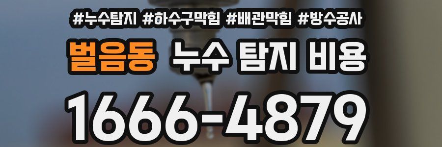 벌음동 누수 탐지 비용