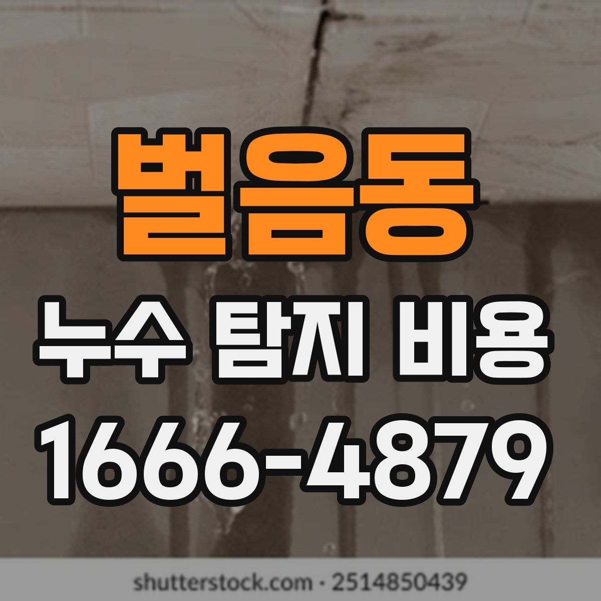벌음동 누수 탐지 비용