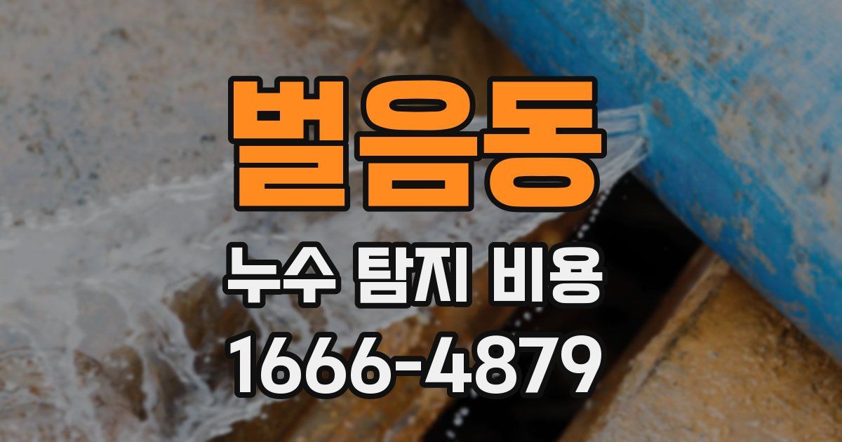 벌음동 누수 탐지 비용