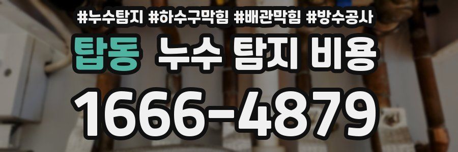 탑동 누수 탐지 비용