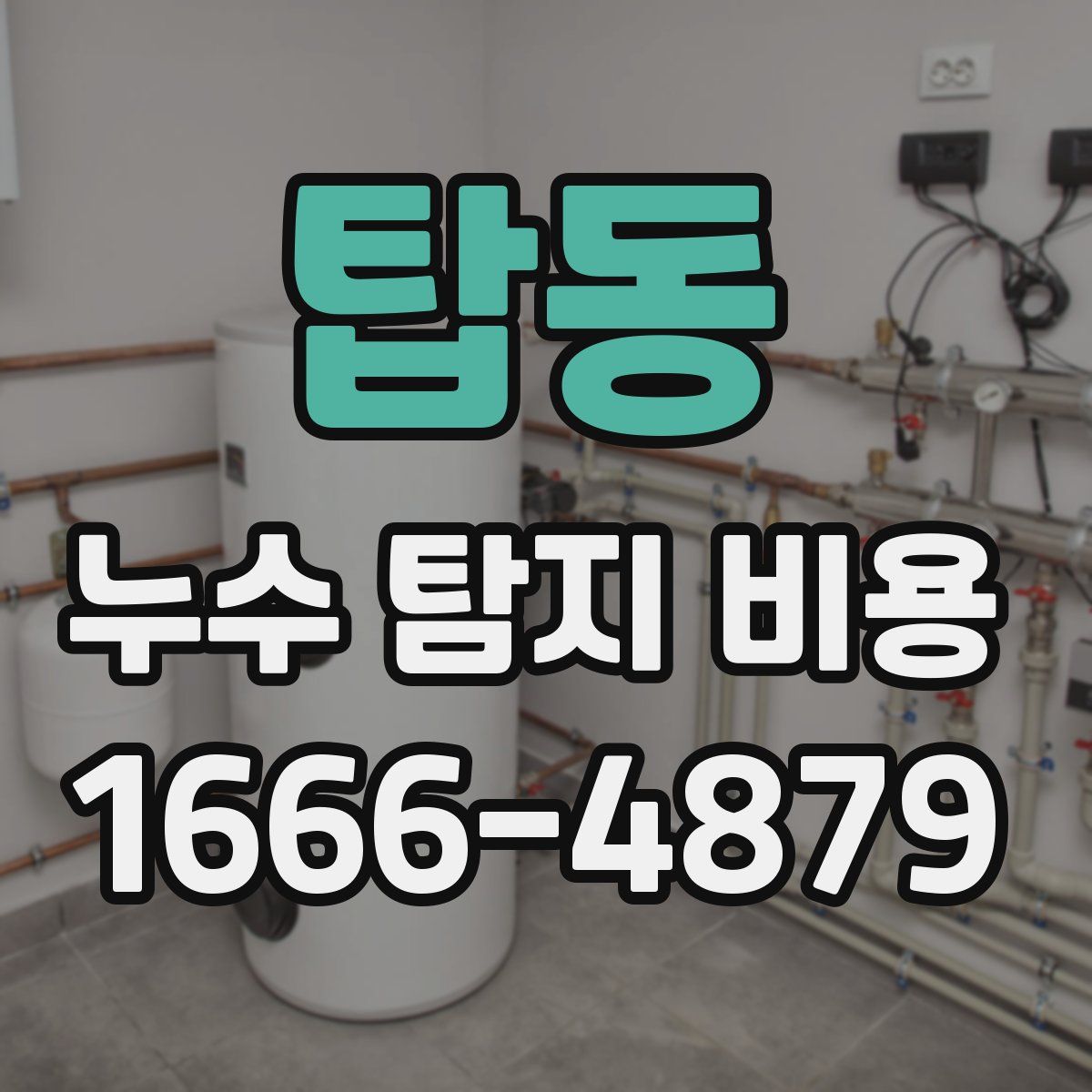 탑동 누수 탐지 비용