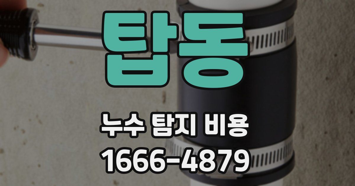 탑동 누수 탐지 비용