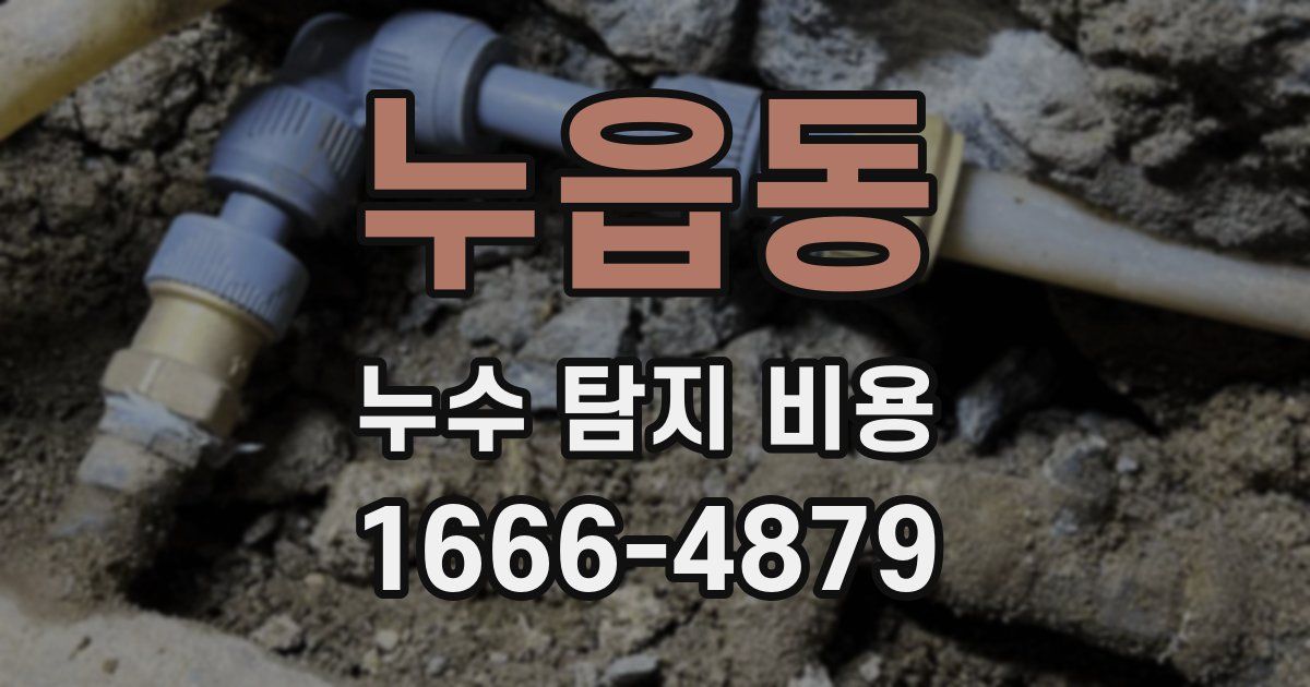 누읍동 누수 탐지 비용