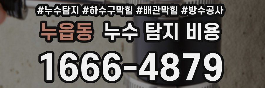 누읍동 누수 탐지 비용