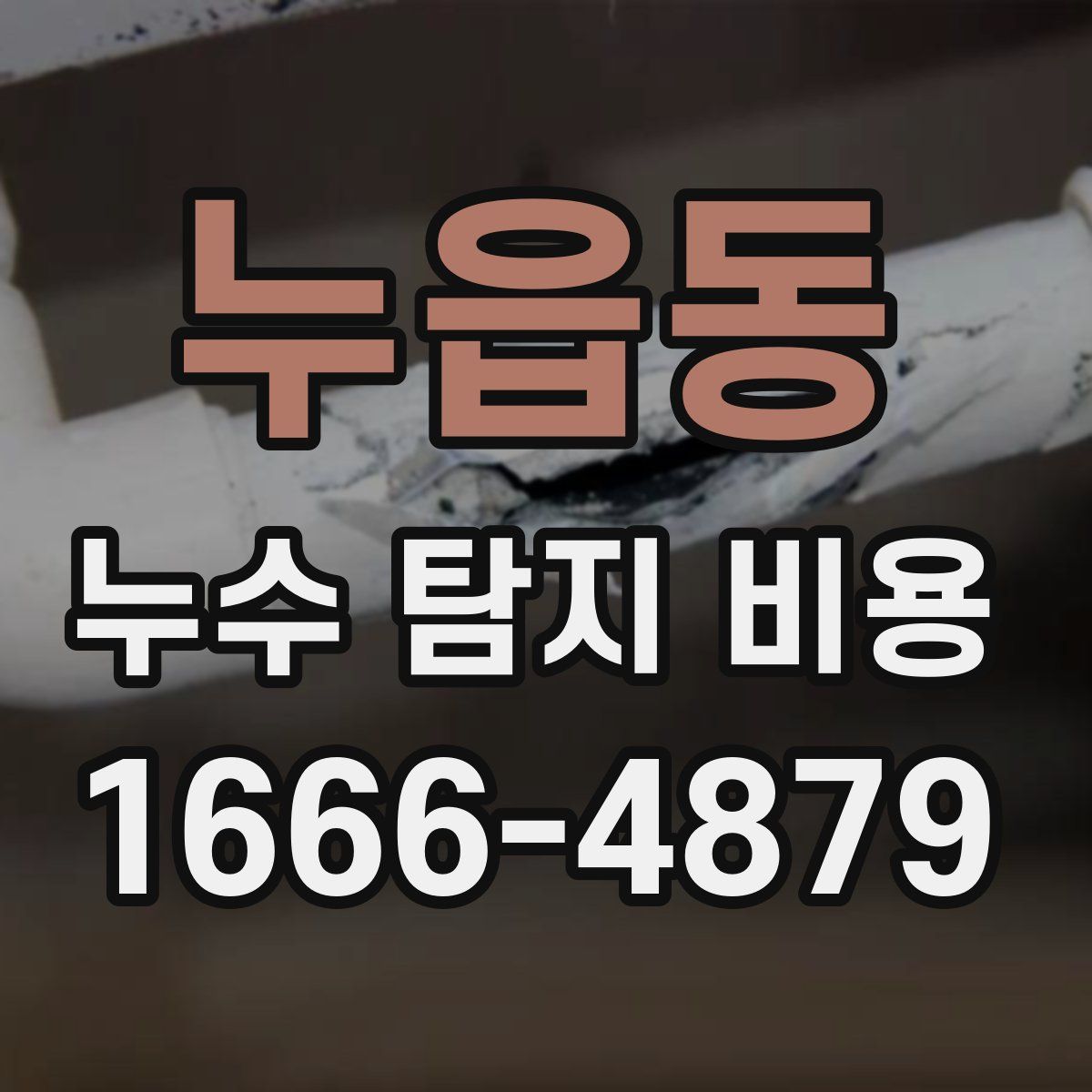 누읍동 누수 탐지 비용