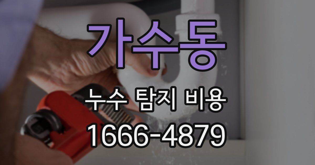 가수동 누수 탐지 비용