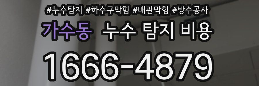가수동 누수 탐지 비용