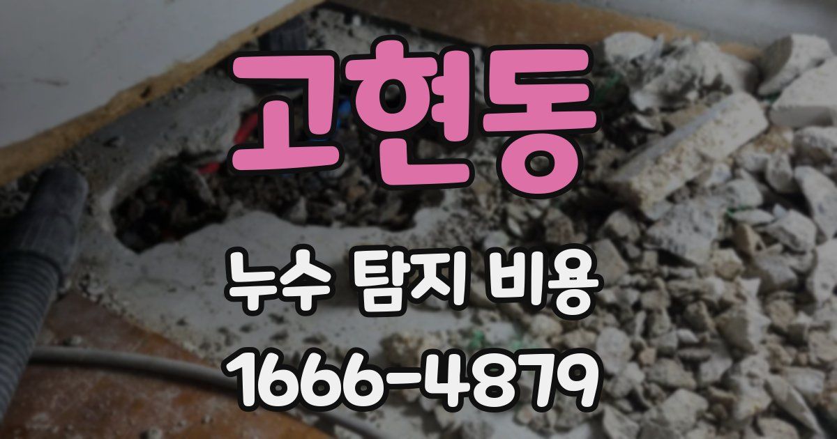 고현동 누수 탐지 비용