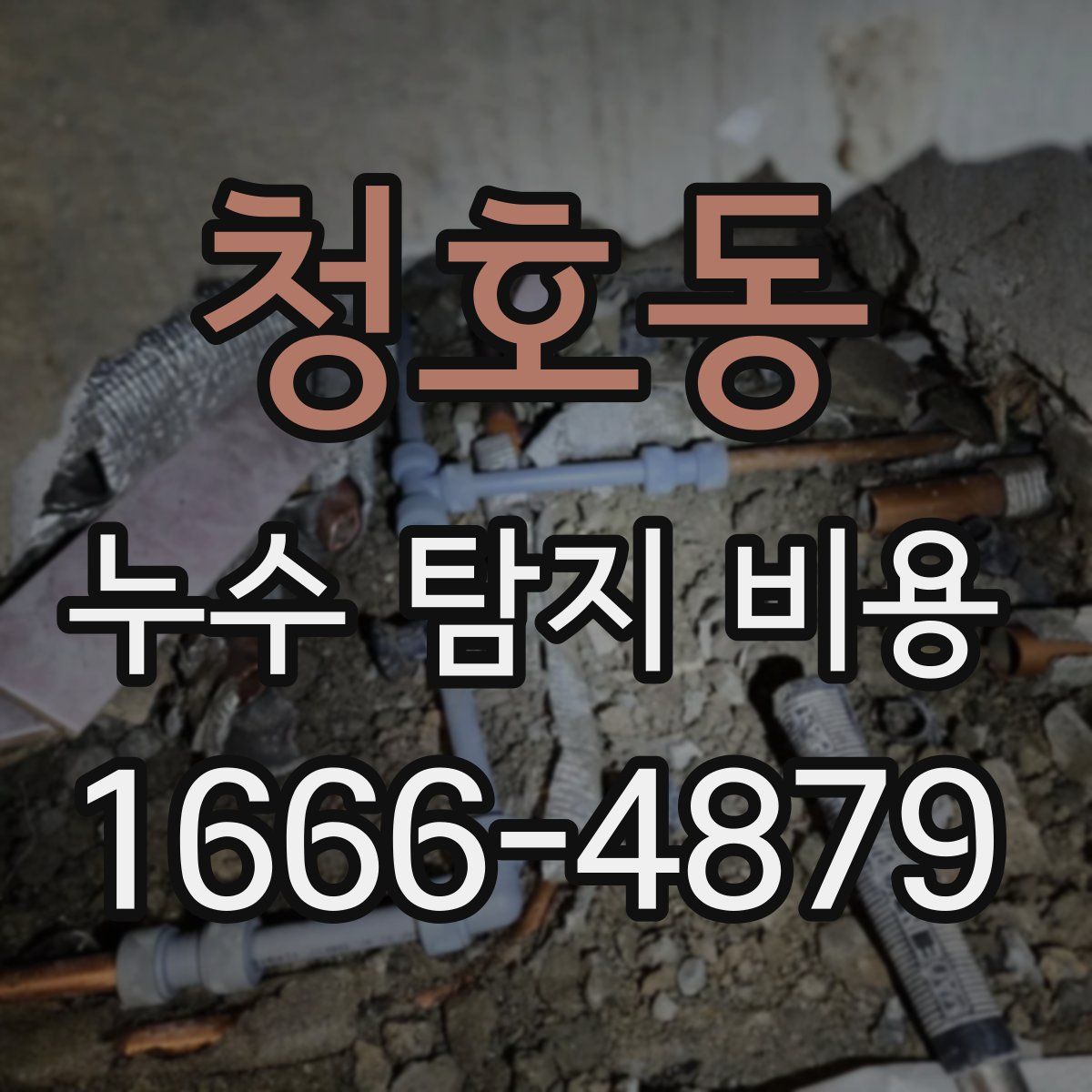 청호동 누수 탐지 비용