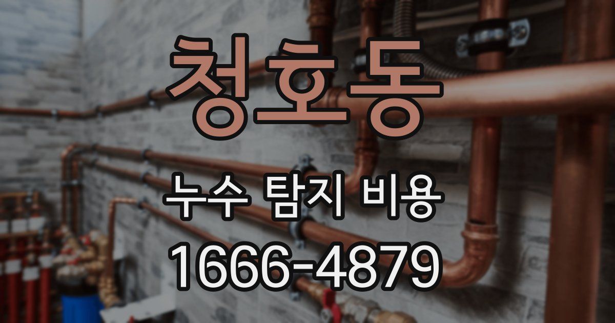 청호동 누수 탐지 비용
