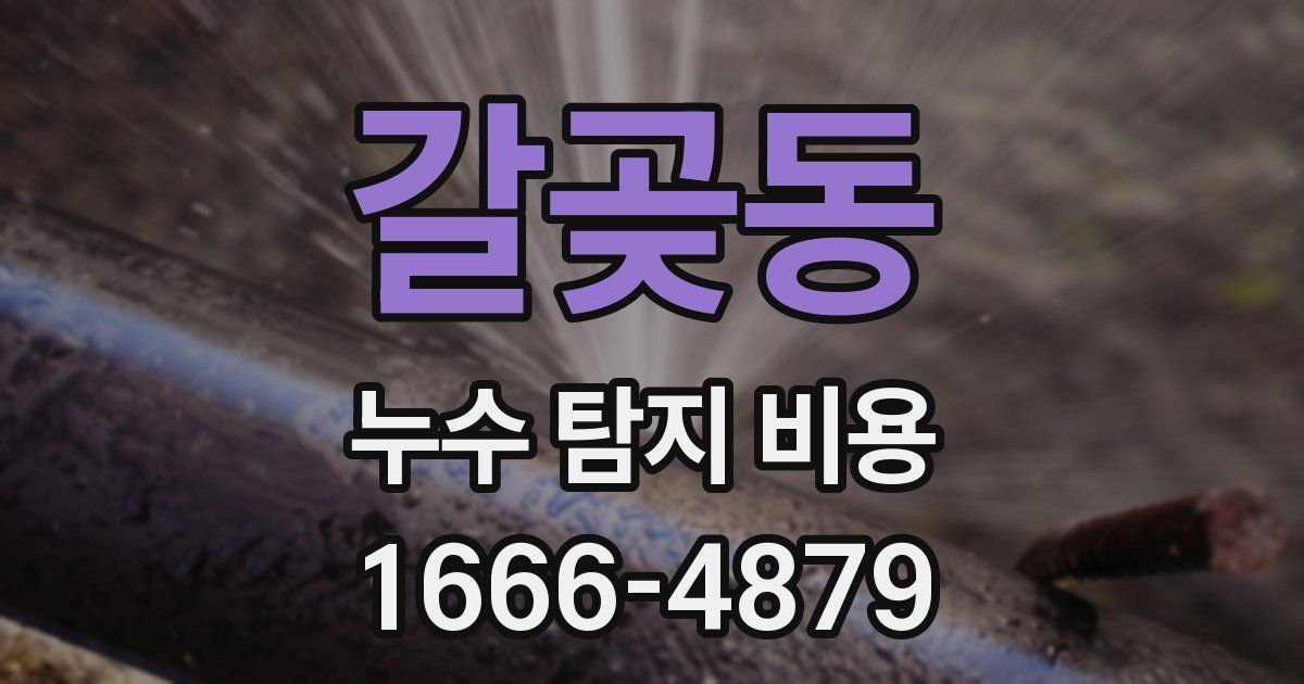 갈곶동 누수 탐지 비용