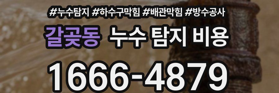 갈곶동 누수 탐지 비용