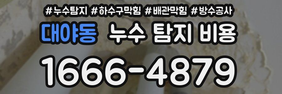 대야동 누수 탐지 비용