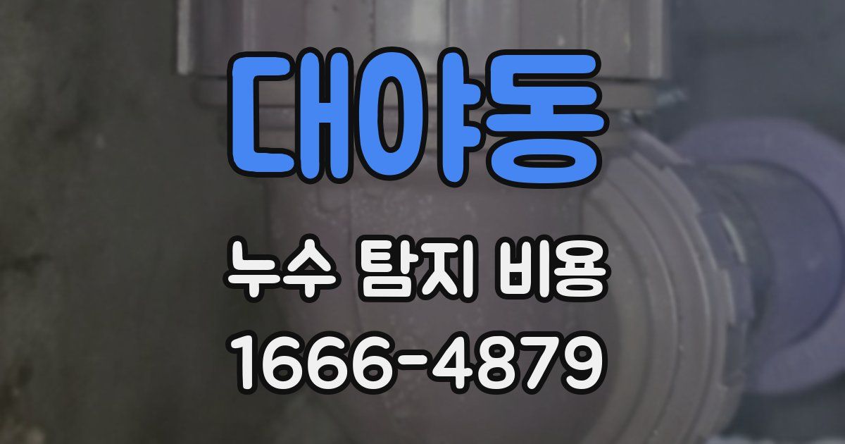 대야동 누수 탐지 비용