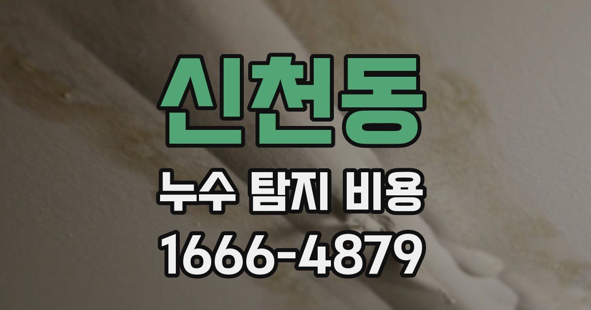 신천동 누수 탐지 비용