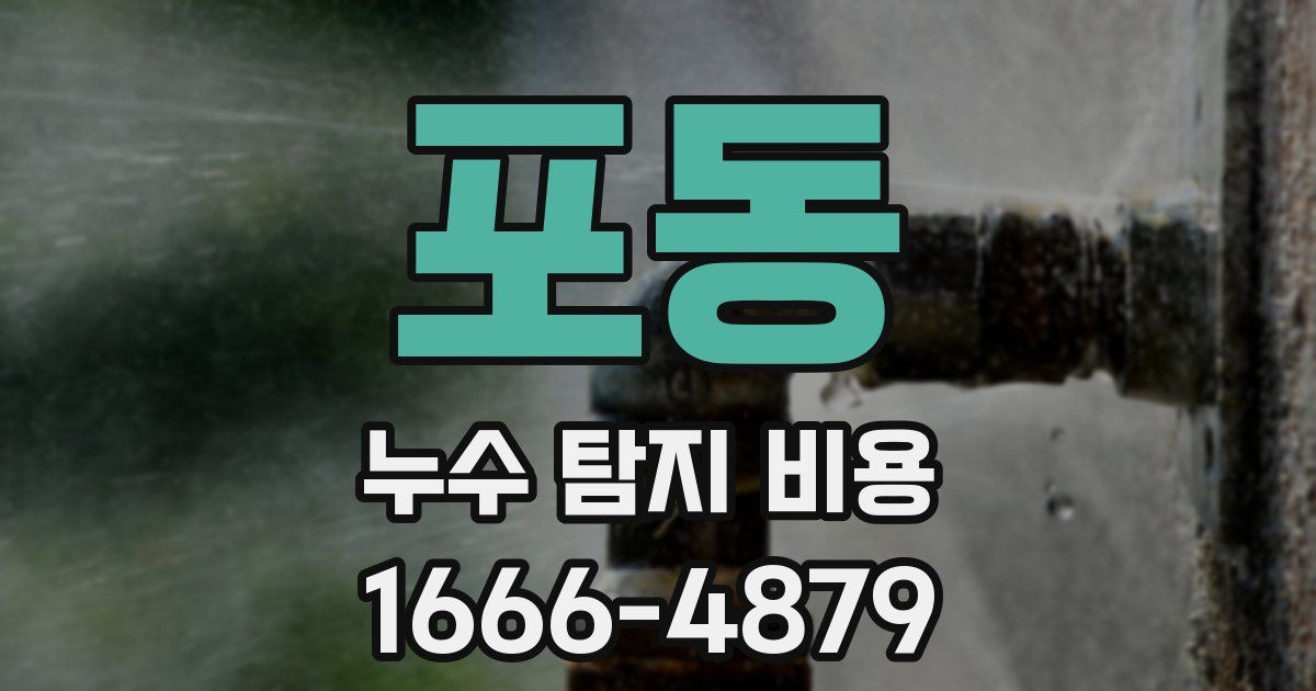 포동 누수 탐지 비용