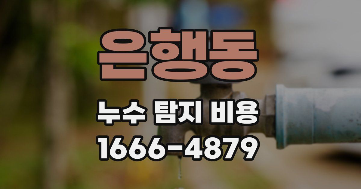 은행동 누수 탐지 비용