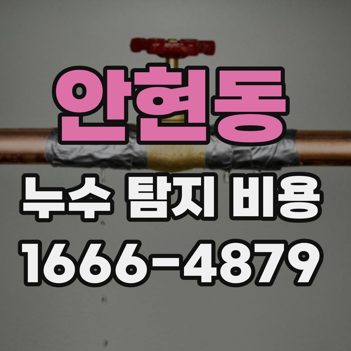 안현동 누수 탐지 비용