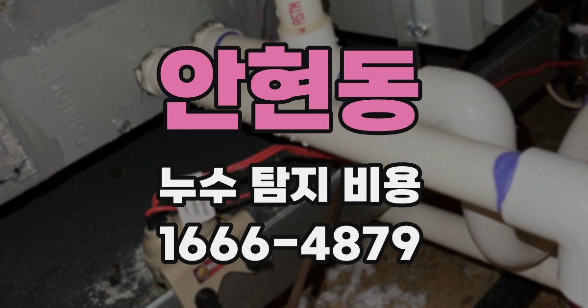 안현동 누수 탐지 비용