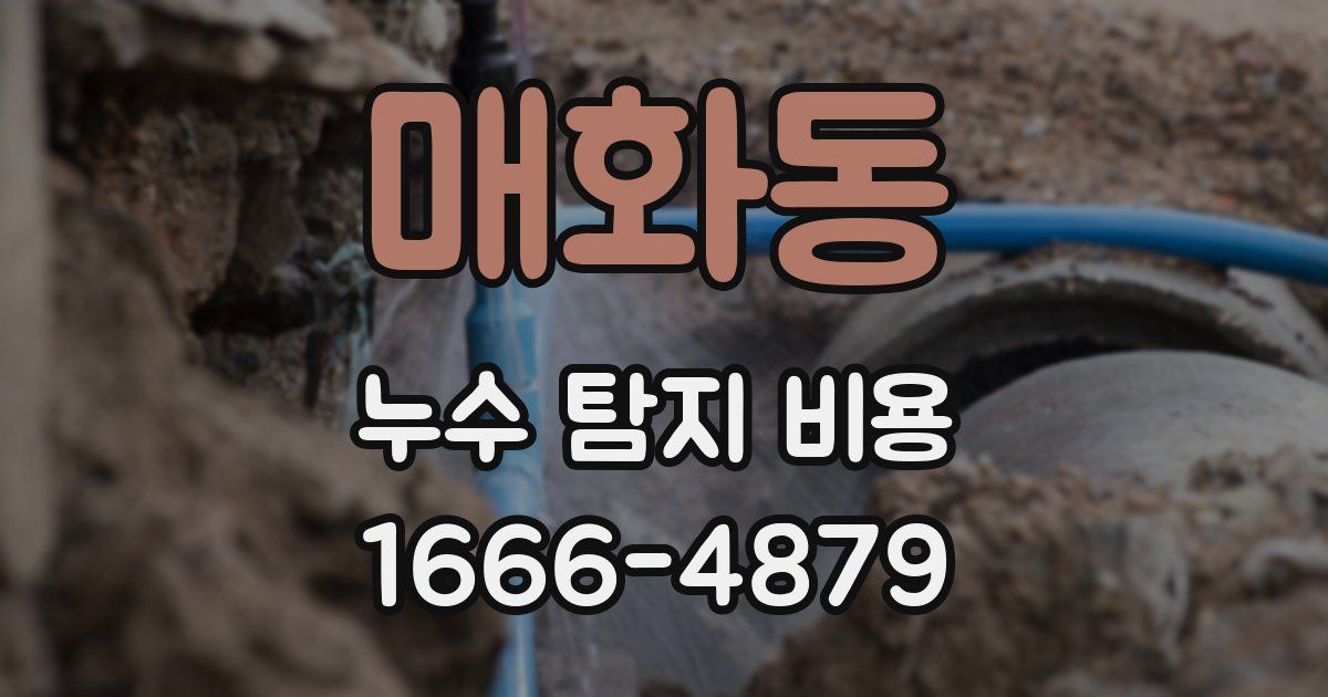 매화동 누수 탐지 비용