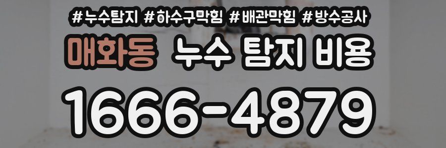 매화동 누수 탐지 비용