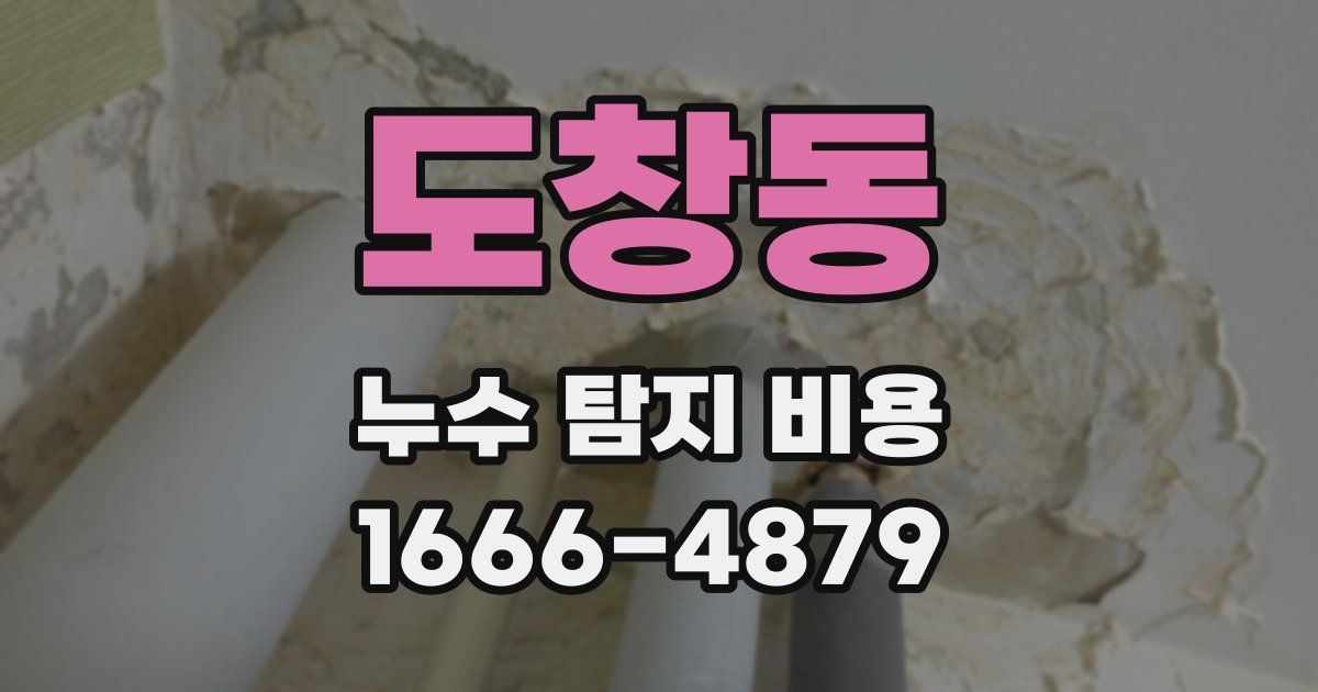 도창동 누수 탐지 비용