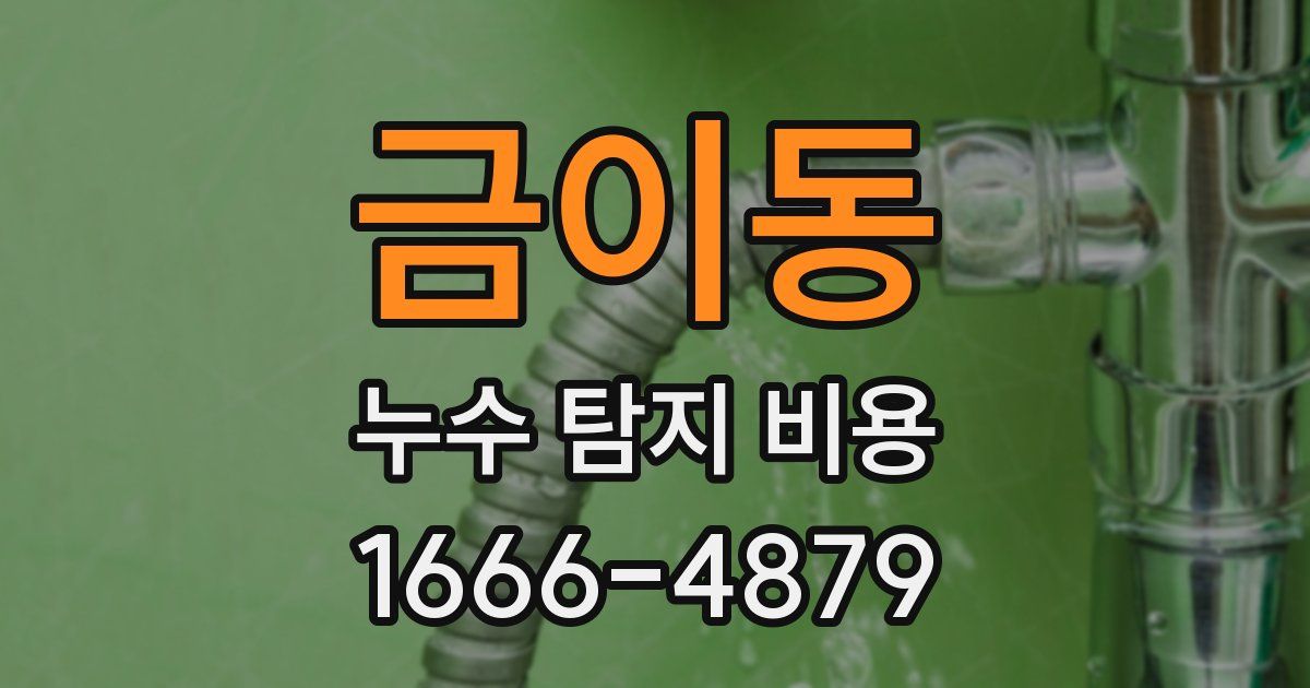 금이동 누수 탐지 비용