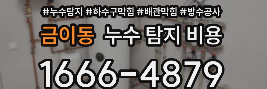 금이동 누수 탐지 비용