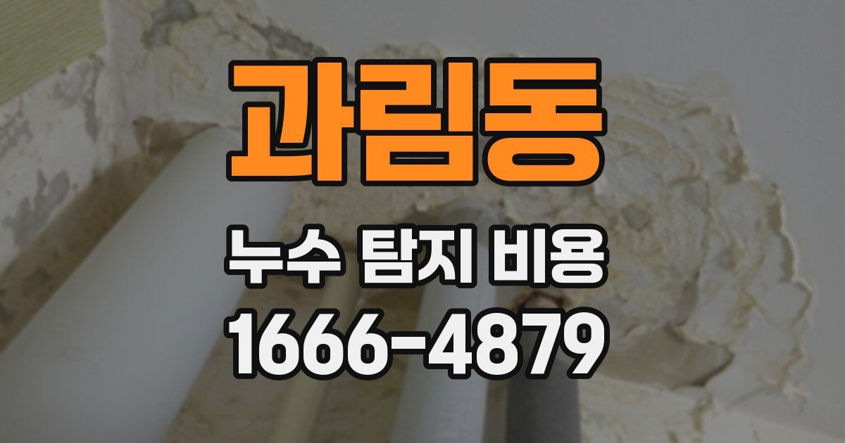 과림동 누수 탐지 비용