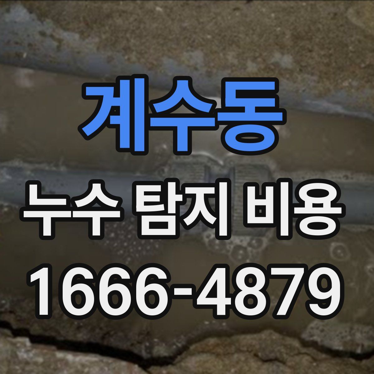 계수동 누수 탐지 비용