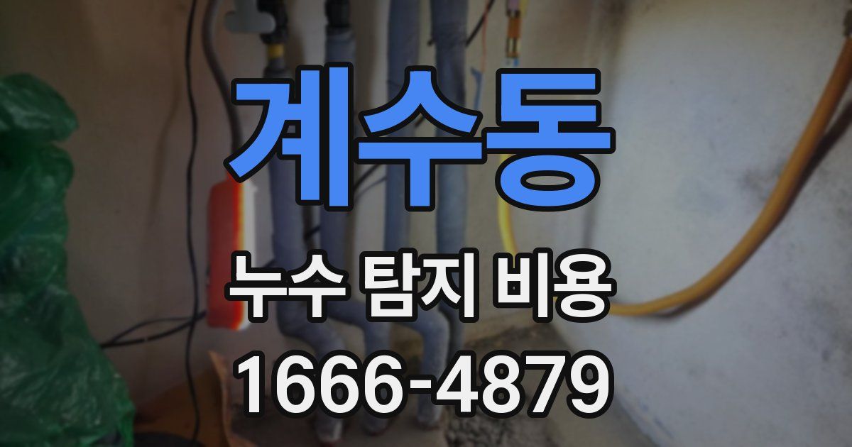 계수동 누수 탐지 비용
