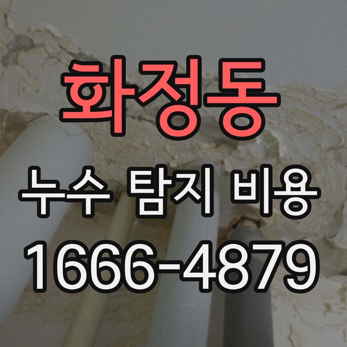 화정동 누수 탐지 비용