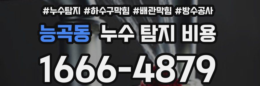 능곡동 누수 탐지 비용