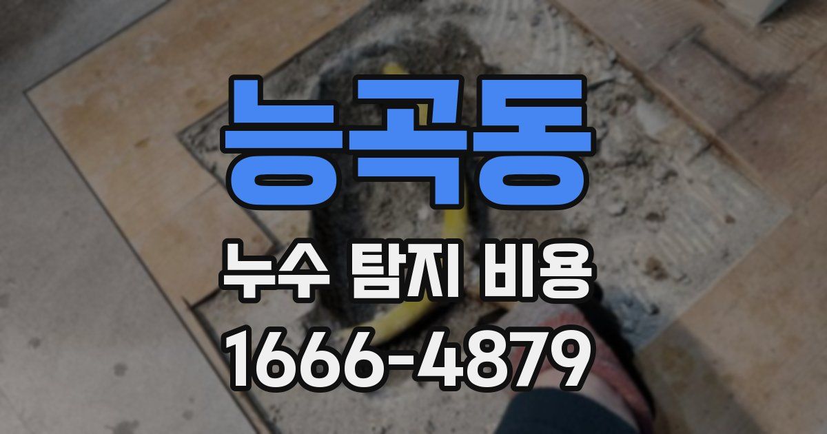 능곡동 누수 탐지 비용