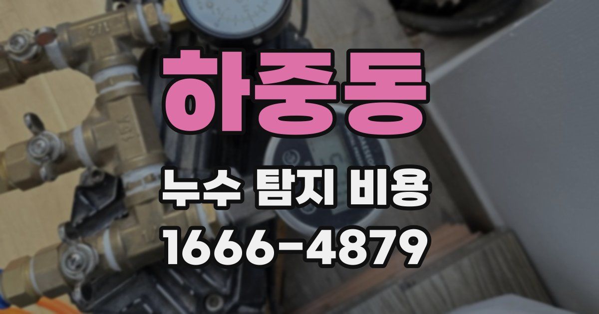 하중동 누수 탐지 비용